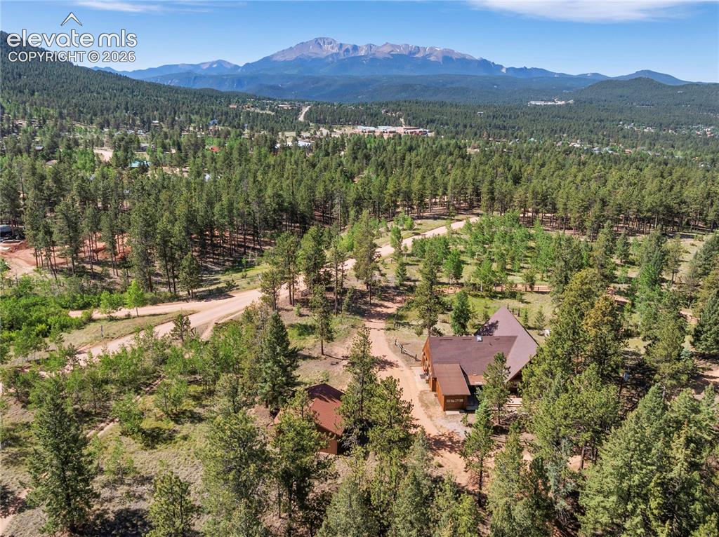 303 Ute Trail Woodland Park CO 80863
