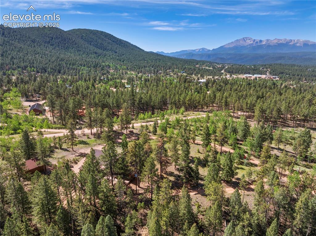 303 Ute Trail Woodland Park CO 80863