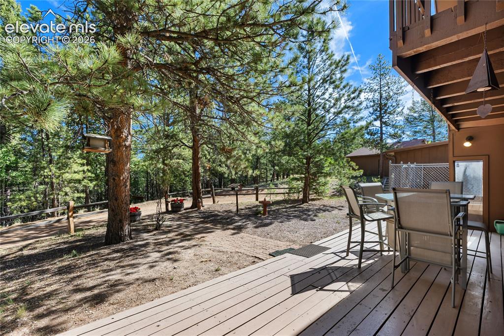 303 Ute Trail Woodland Park CO 80863