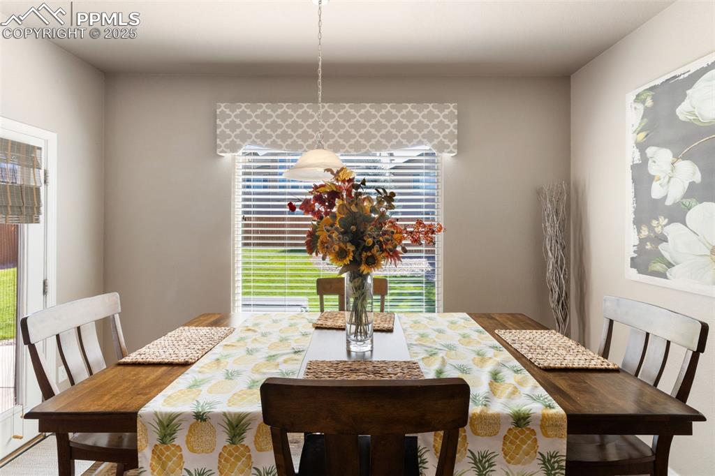 2683 Hannah Ridge Drive Colorado Springs CO 80922