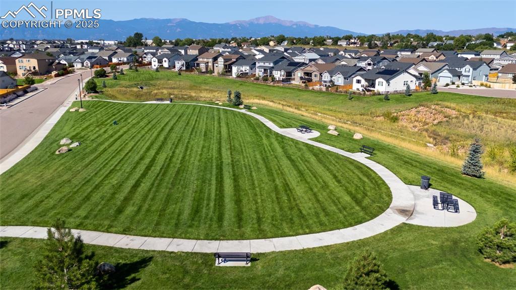 2683 Hannah Ridge Drive Colorado Springs CO 80922