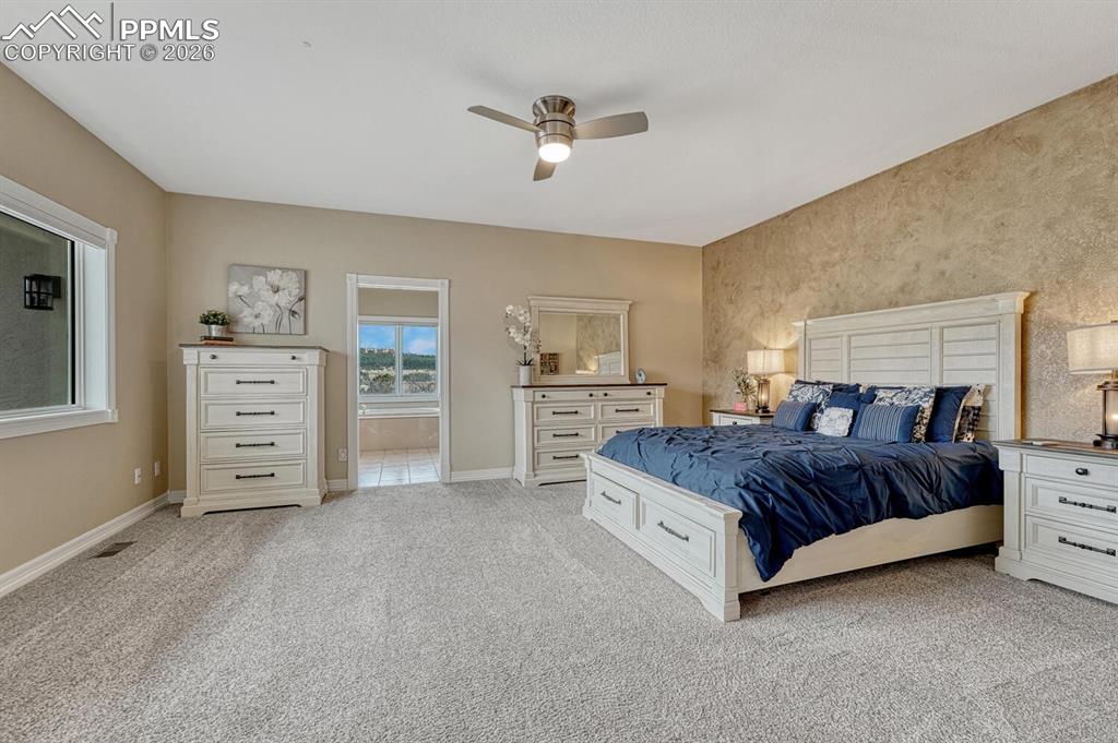 620 Forest View Way Monument CO 80132