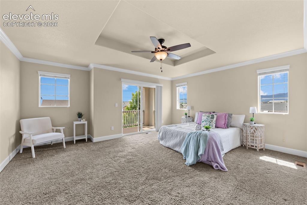 2560 Farrier Court Colorado Springs CO 80922