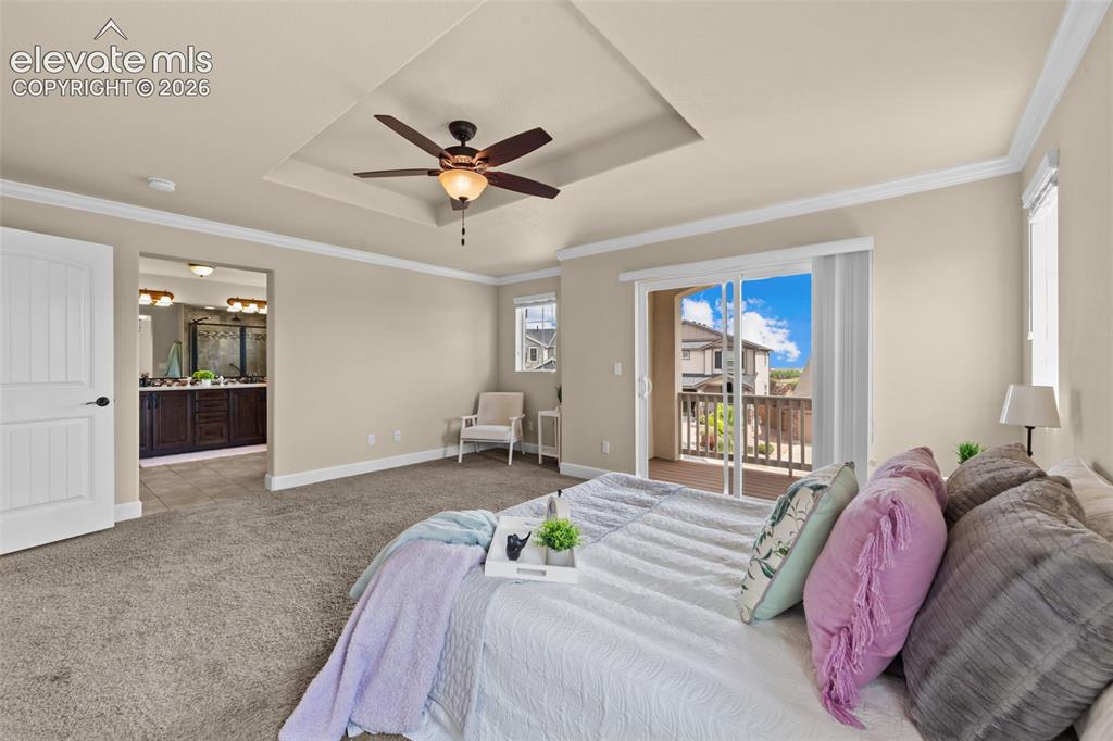2560 Farrier Court Colorado Springs CO 80922
