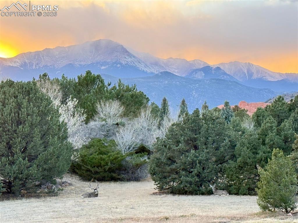3440 Hill Circle Colorado Springs CO 80904