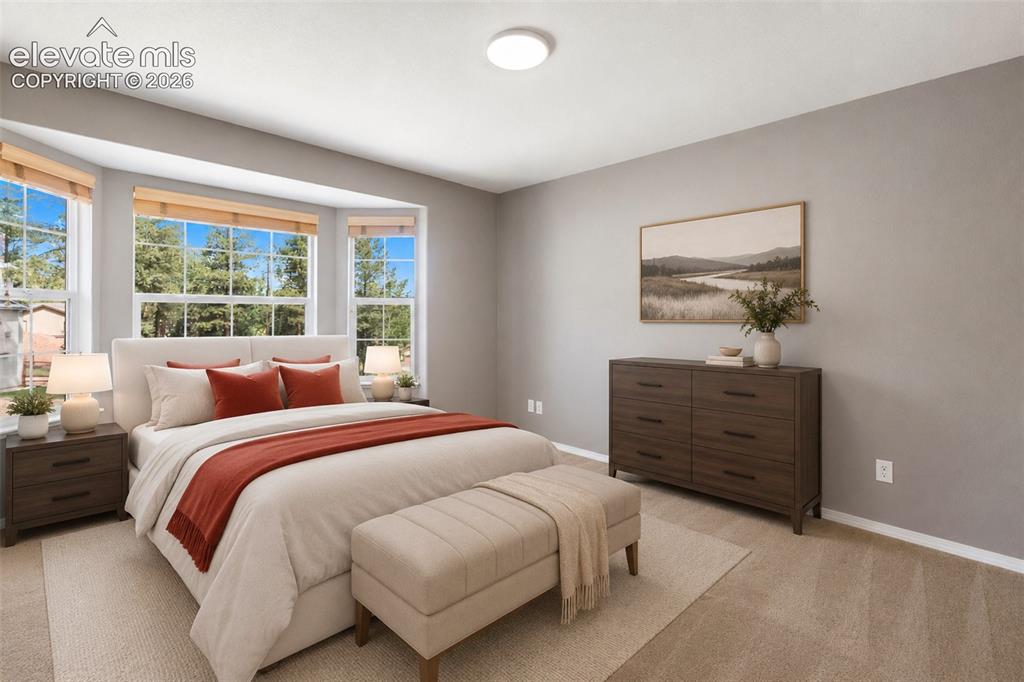 671 Misty Pines Circle Woodland Park CO 80863