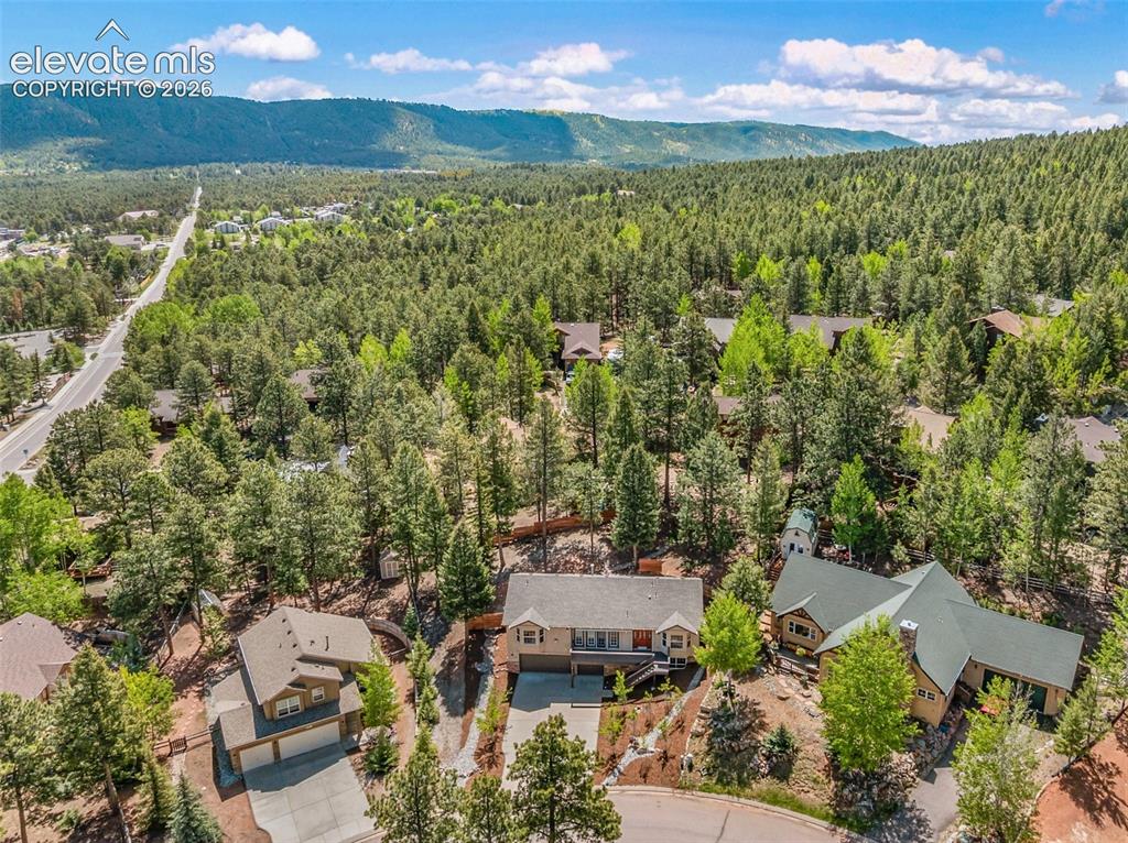 671 Misty Pines Circle Woodland Park CO 80863