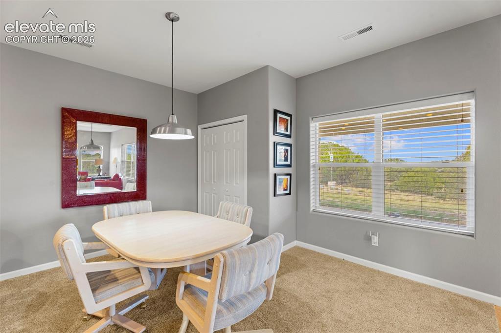 6040 Big Sky Drive Rye CO 81069