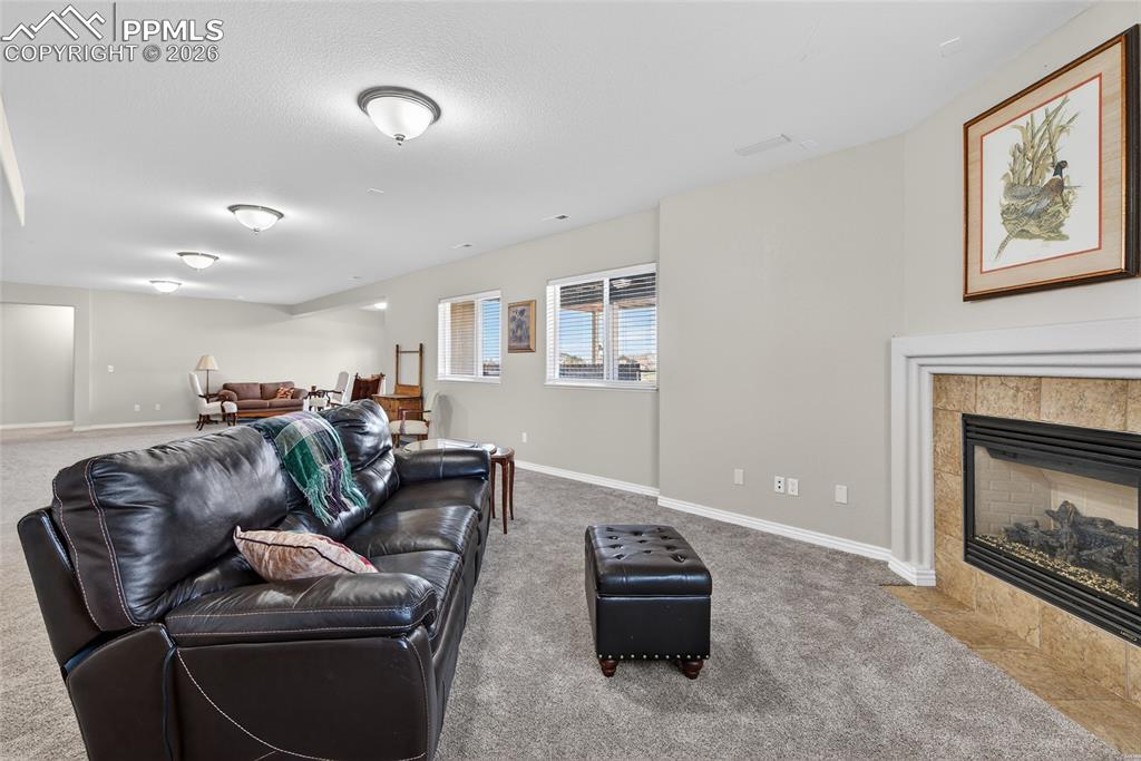 10862 Torreys Peak Way Peyton CO 80831