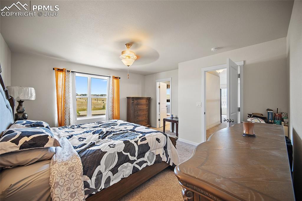 5915 Mumford Drive Colorado Springs CO 80925