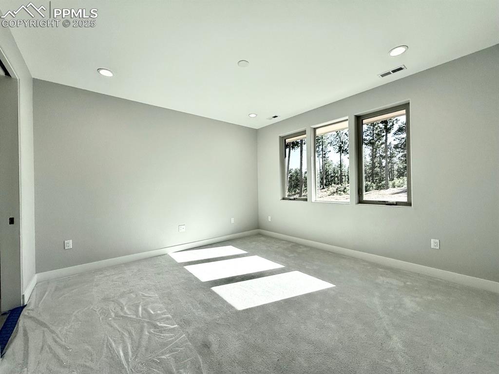 3155 Promise Point Colorado Springs CO 80921