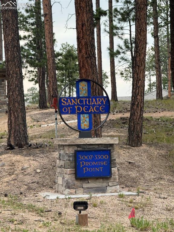 3155 Promise Point Colorado Springs CO 80921