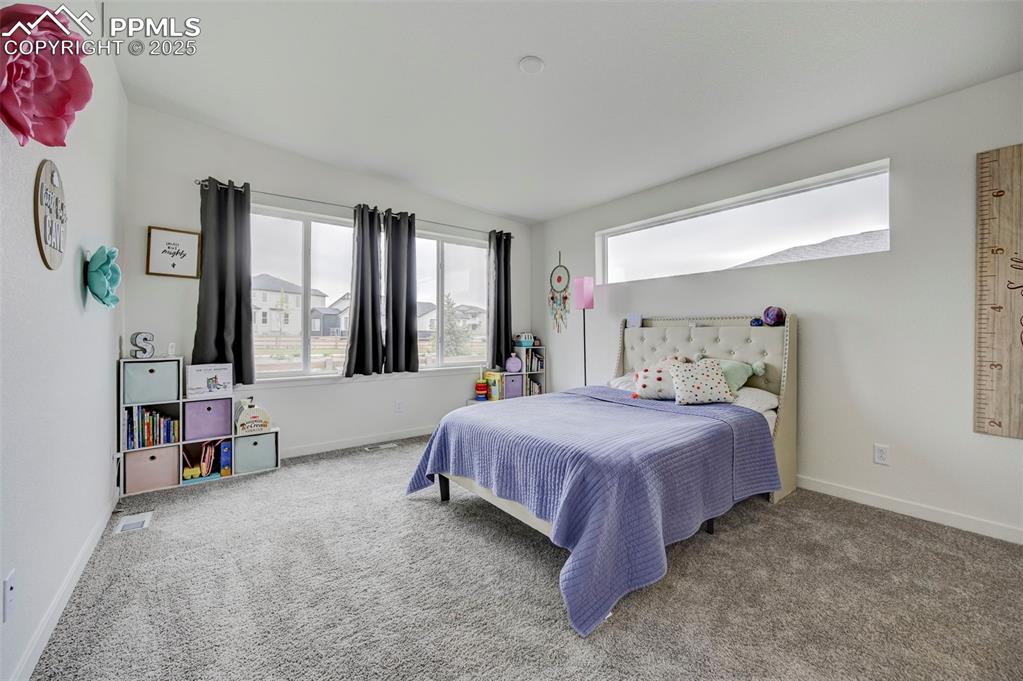 9276 Glitter Way Colorado Springs CO 80924