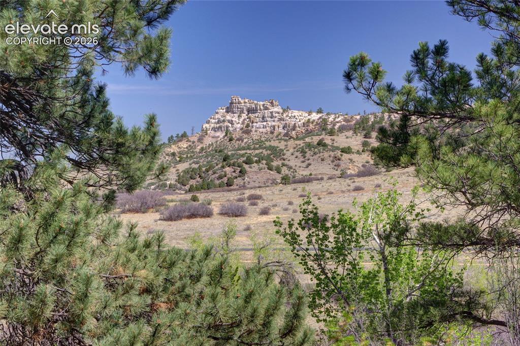 5165 Wild Rose Lane Colorado Springs CO 80918