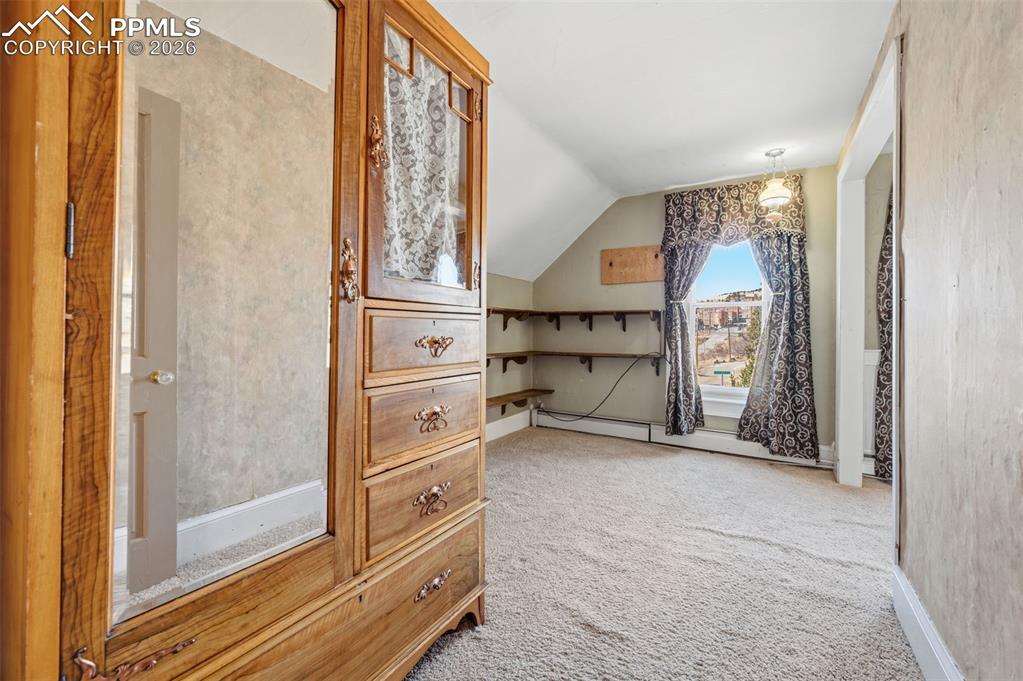 310 E Whiting Avenue Cripple Creek CO 80813