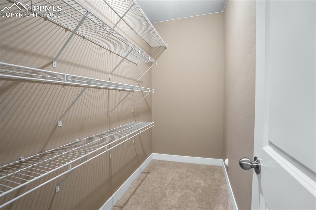 8963 Backgammon Drive Colorado Springs CO 80924