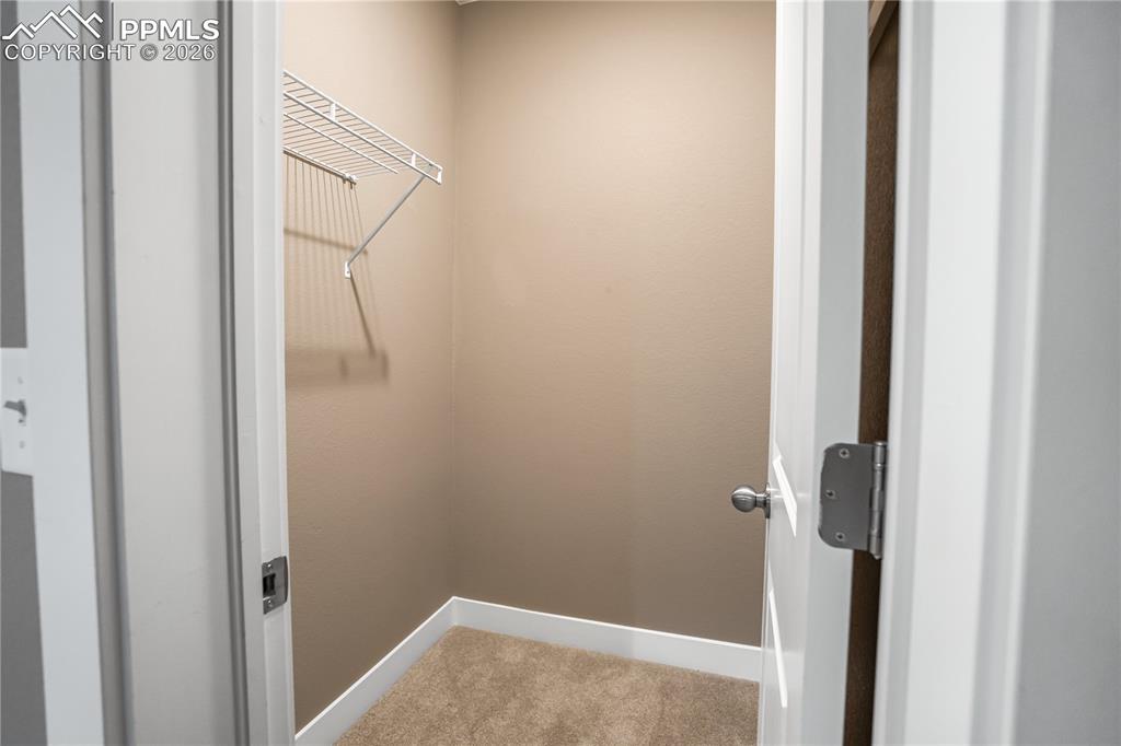 8963 Backgammon Drive Colorado Springs CO 80924