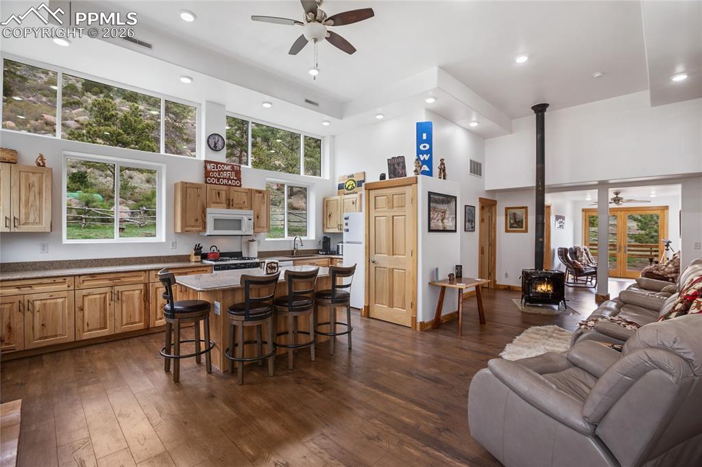 437 Langnis Road Guffey CO 80820