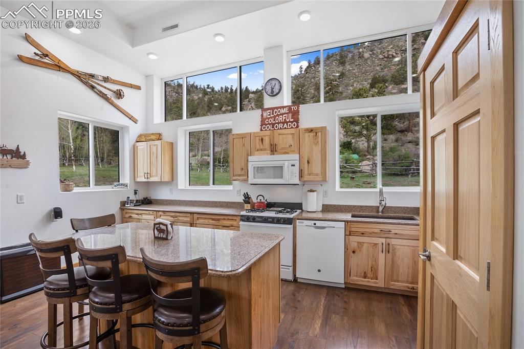 437 Langnis Road Guffey CO 80820