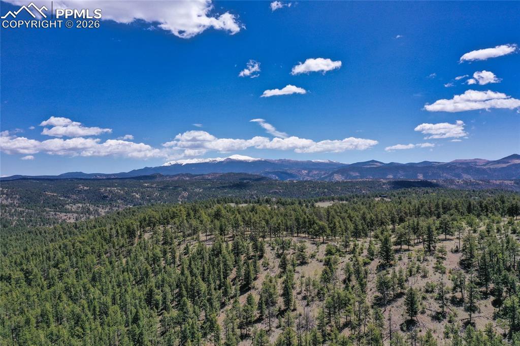 437 Langnis Road Guffey CO 80820