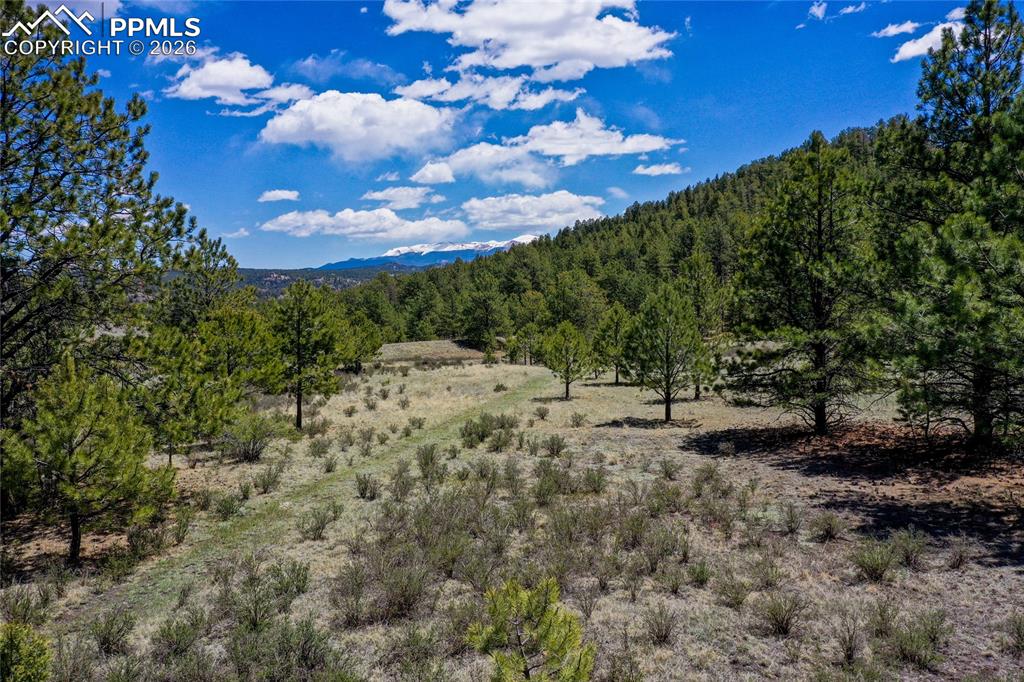 437 Langnis Road Guffey CO 80820