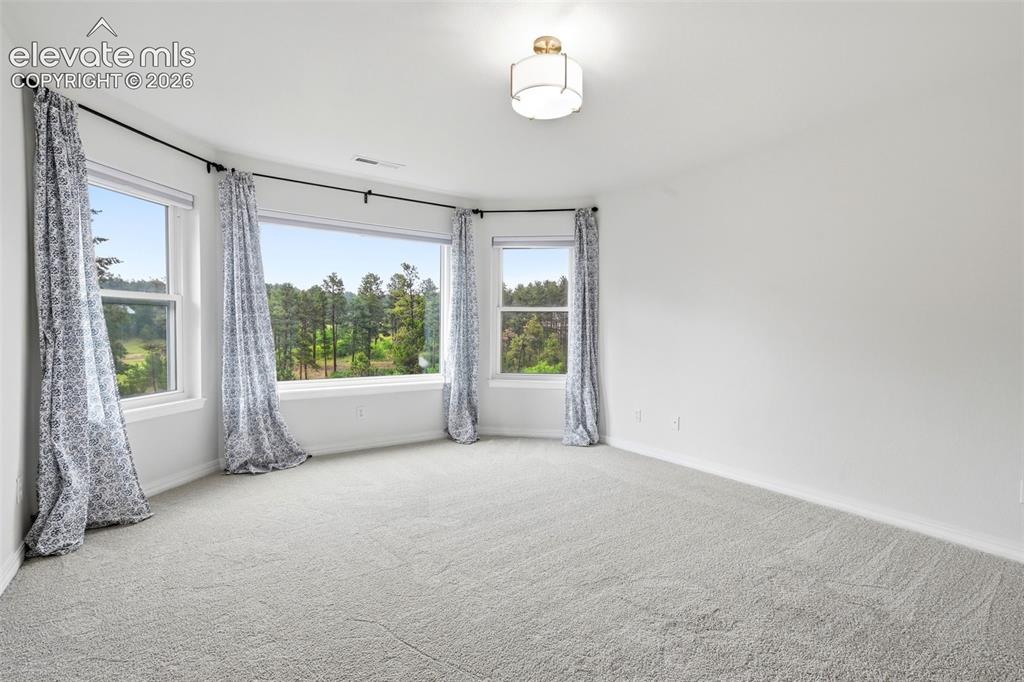 1005 Woodmoor Drive Monument CO 80132