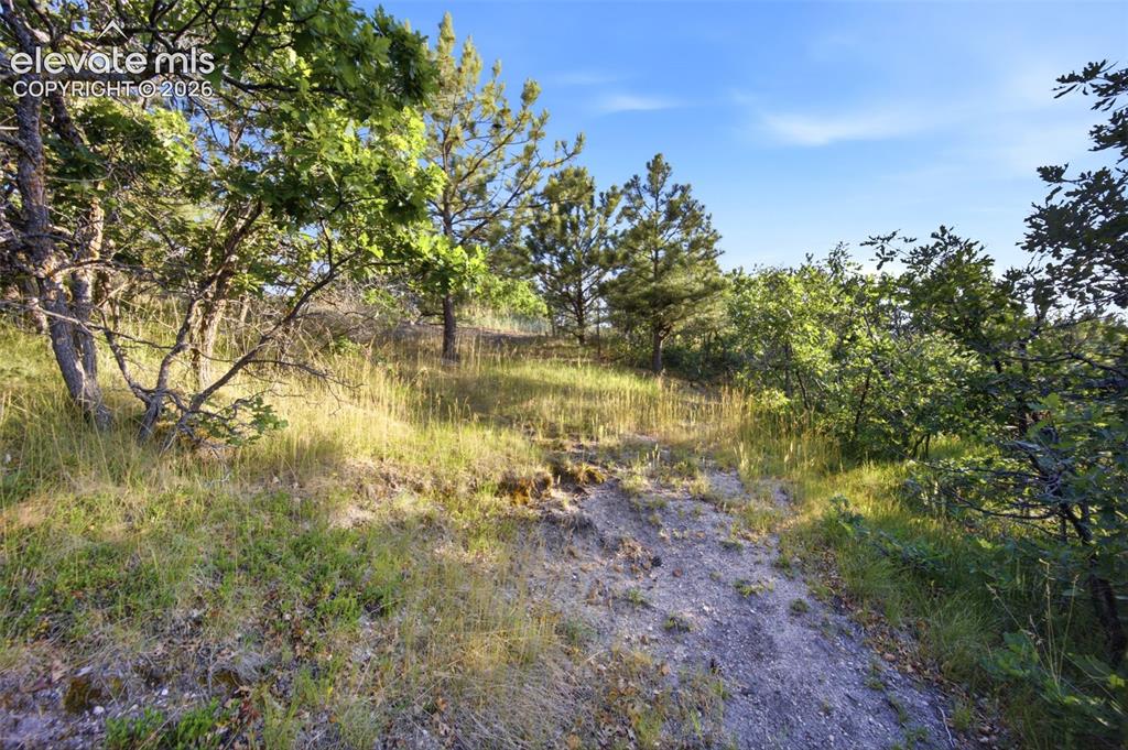 1005 Woodmoor Drive Monument CO 80132