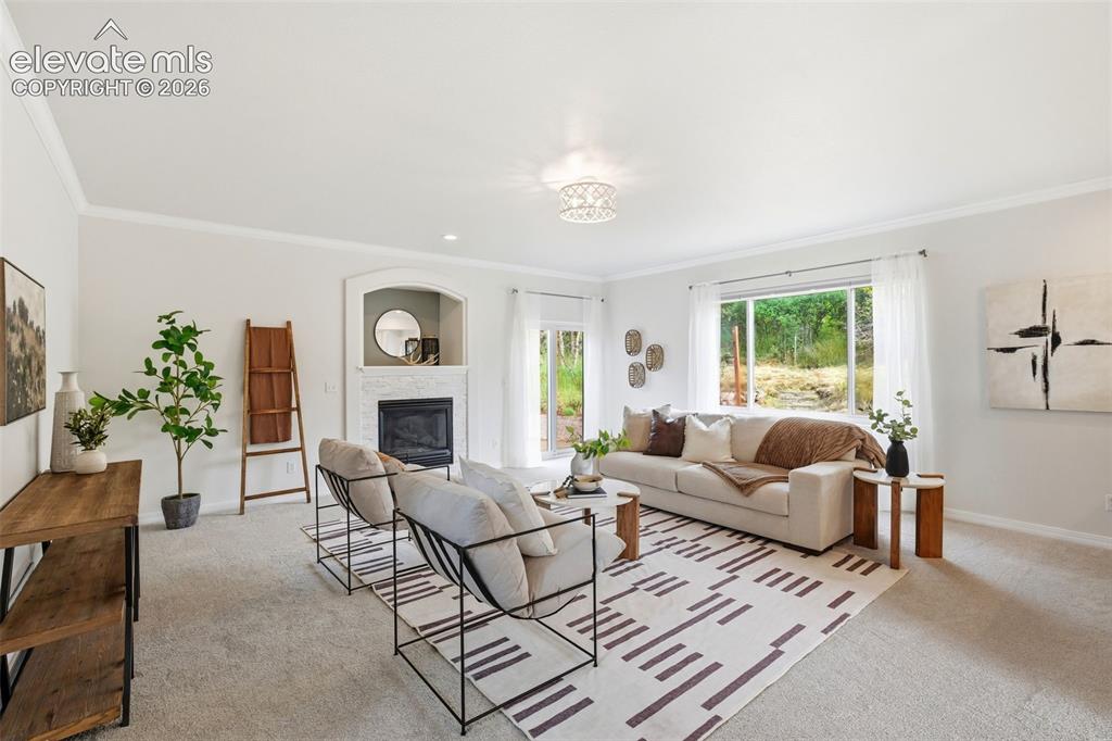1005 Woodmoor Drive Monument CO 80132