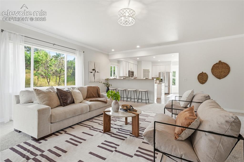 1005 Woodmoor Drive Monument CO 80132