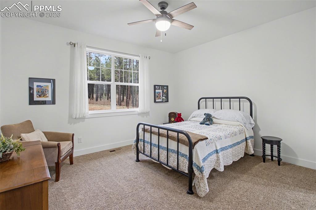 11325 Laforet Point Colorado Springs CO 80908