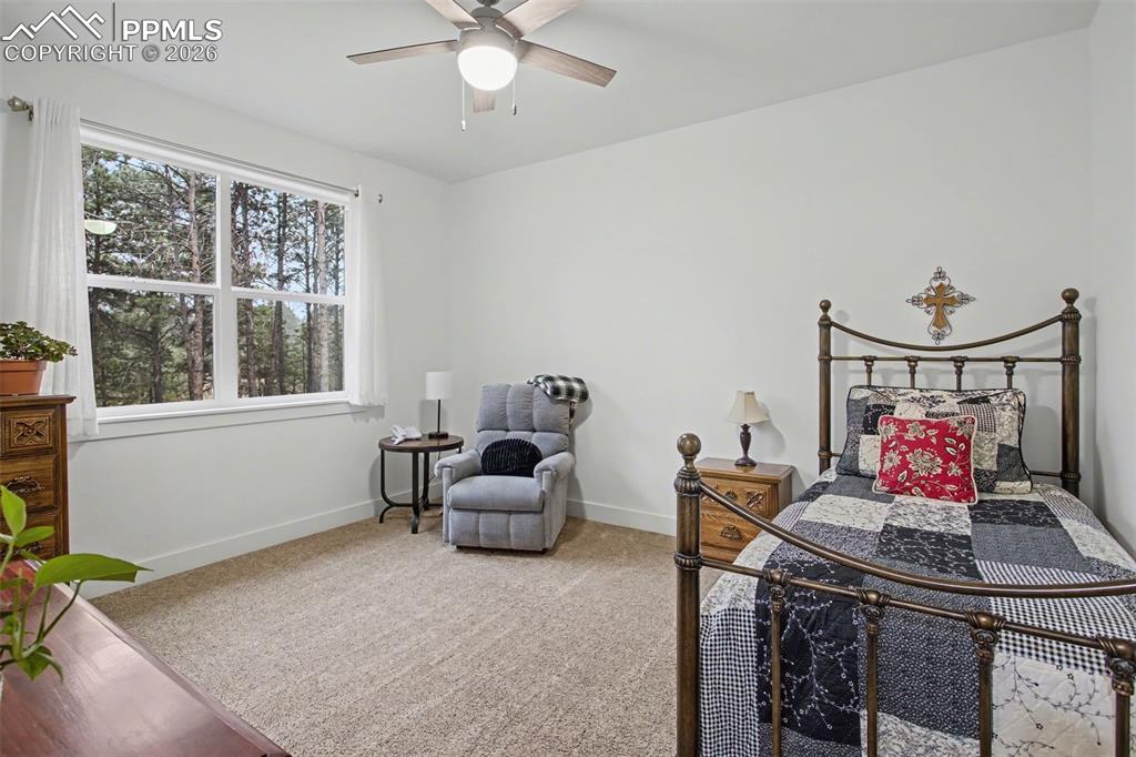 11325 Laforet Point Colorado Springs CO 80908