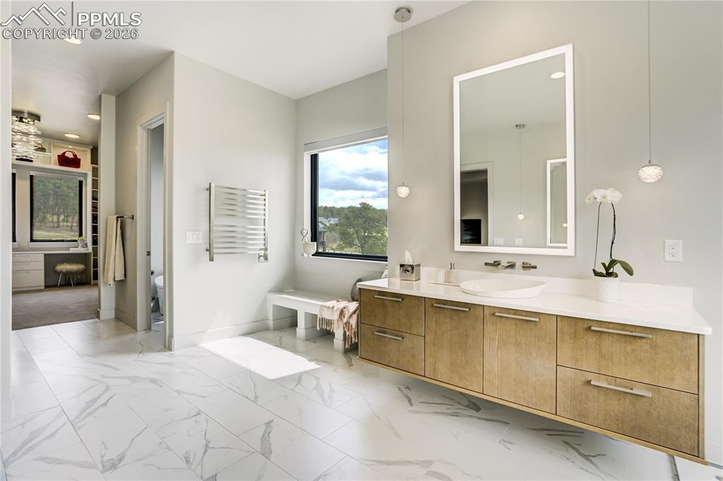 17110 Copper Valley Court Monument CO 80132
