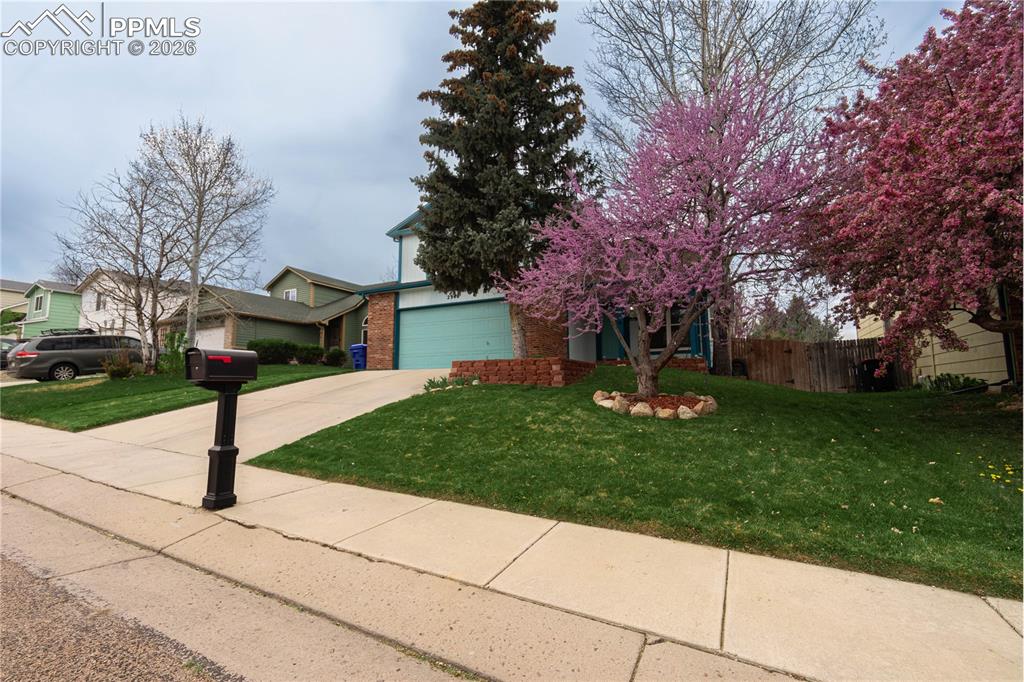 2940 Richmond Drive Colorado Springs CO 80922