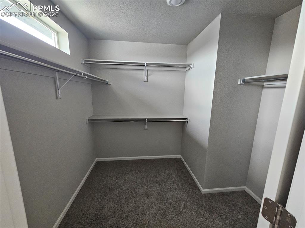 5638 Mammoth Lane Colorado Springs CO 80927