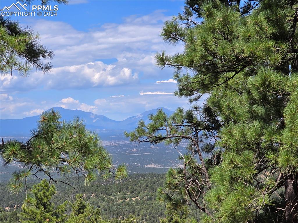 33036 Meadow Ridge Lane Trinidad CO 81082