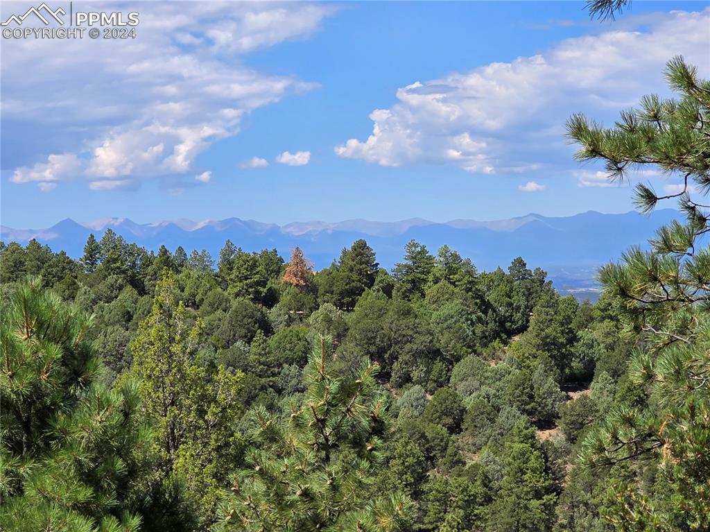 33036 Meadow Ridge Lane Trinidad CO 81082
