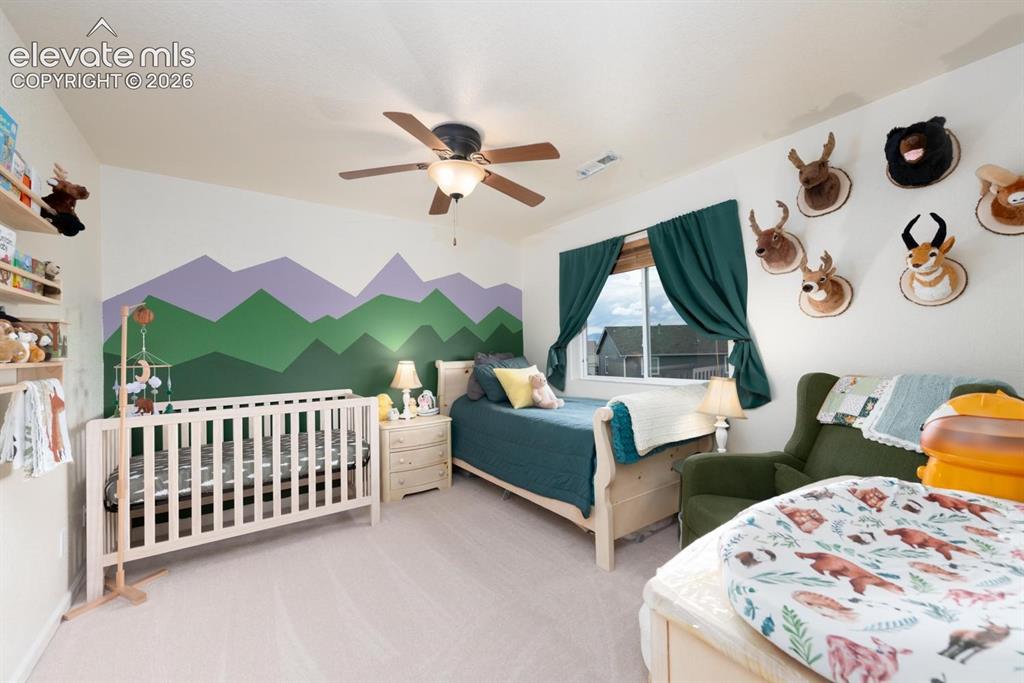 7694 Manistique Drive Colorado Springs CO 80923