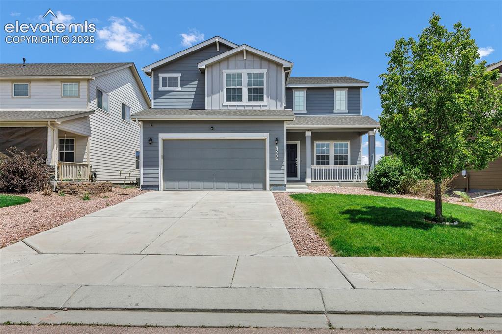 7585 Alpine Daisy Drive Colorado Springs CO 80925