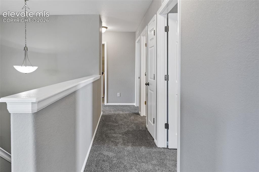 7585 Alpine Daisy Drive Colorado Springs CO 80925