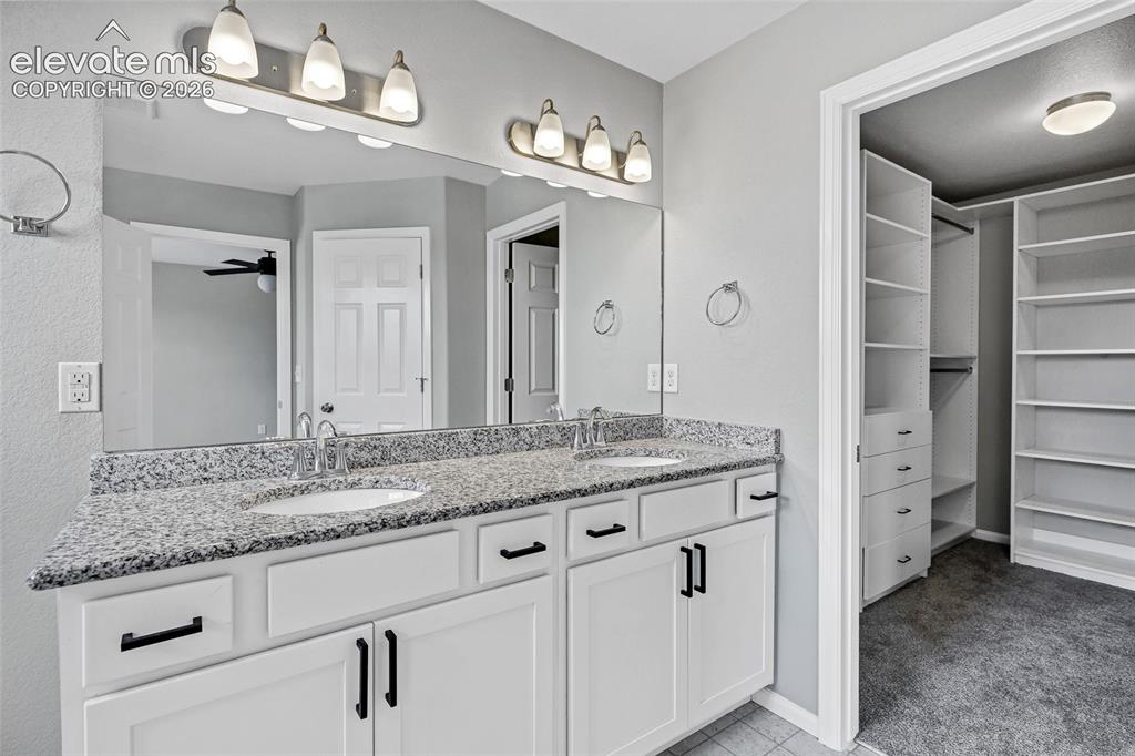 7585 Alpine Daisy Drive Colorado Springs CO 80925
