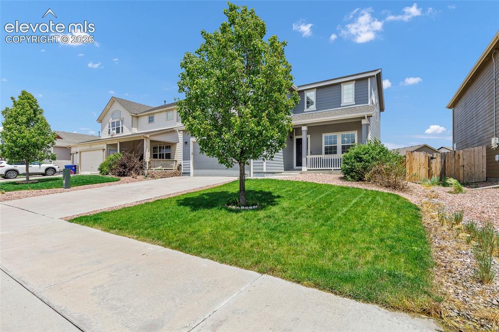 7585 Alpine Daisy Drive Colorado Springs CO 80925