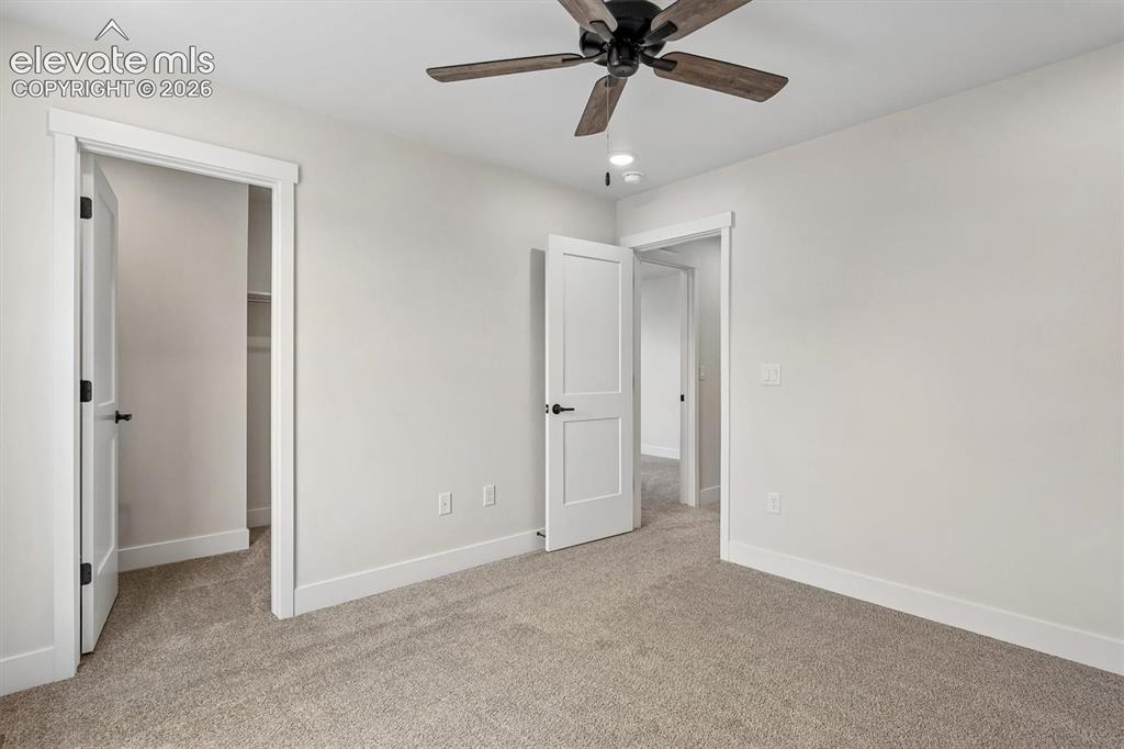 3047 Curly Grove Colorado Springs CO 80922