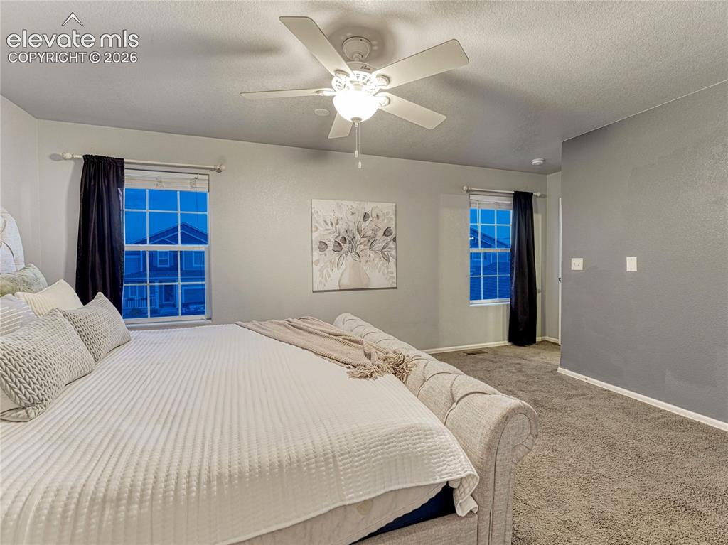 7618 Dry Willow Way Colorado Springs CO 80908