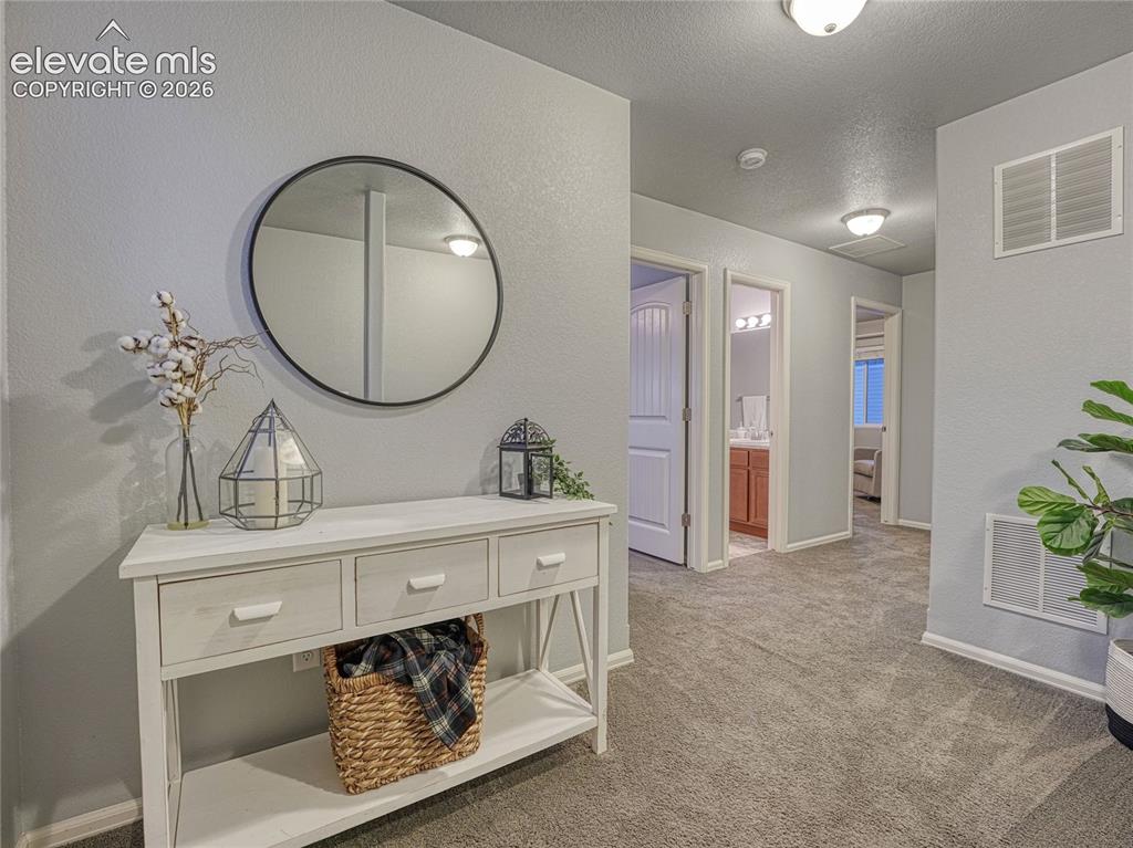 7618 Dry Willow Way Colorado Springs CO 80908