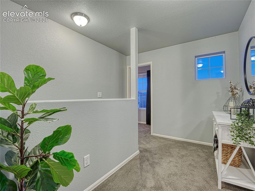7618 Dry Willow Way Colorado Springs CO 80908