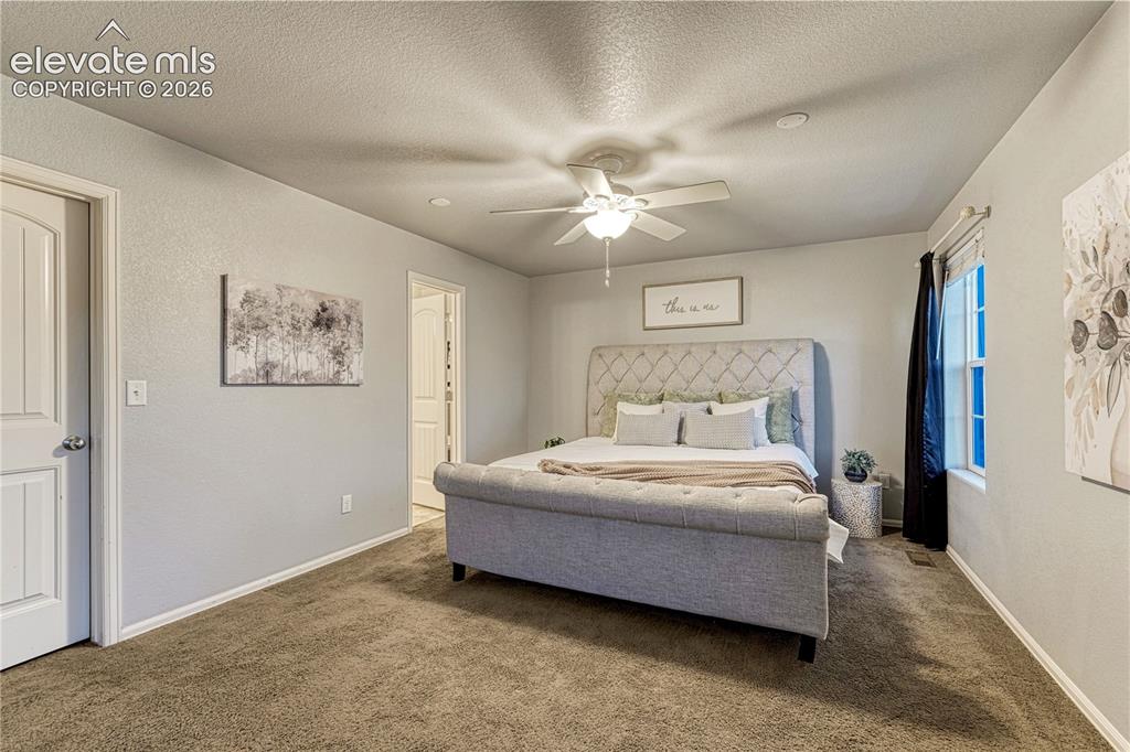 7618 Dry Willow Way Colorado Springs CO 80908