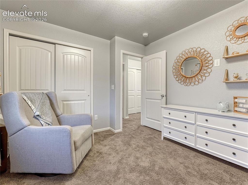 7618 Dry Willow Way Colorado Springs CO 80908