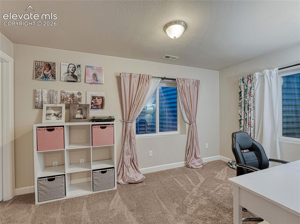 7618 Dry Willow Way Colorado Springs CO 80908