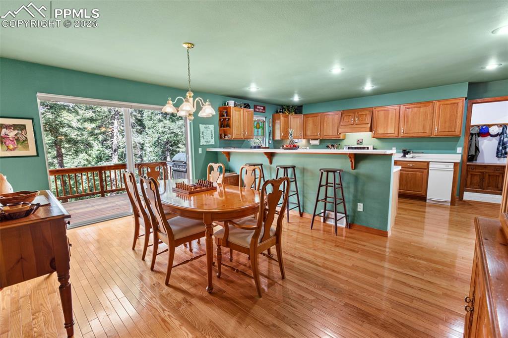 938 Spring Valley Lane Florissant CO 80816