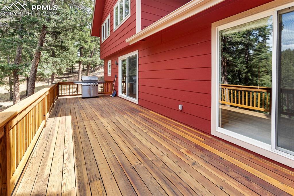 938 Spring Valley Lane Florissant CO 80816